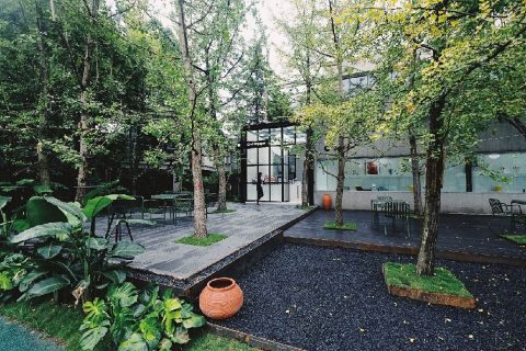 品牌设计和管理