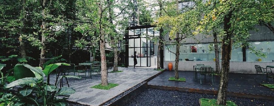 品牌设计和管理