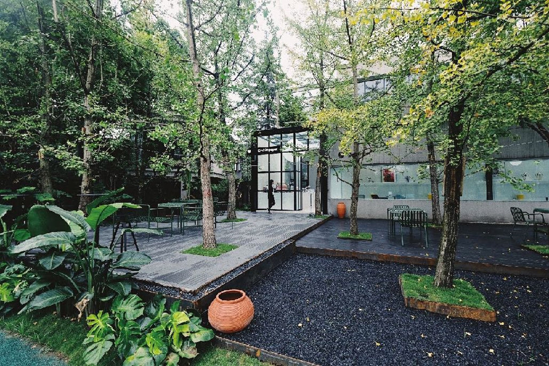 品牌设计和管理