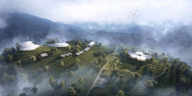 生态农产品和农文旅